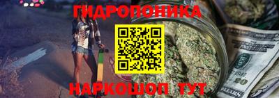 прущие крисы Аргун