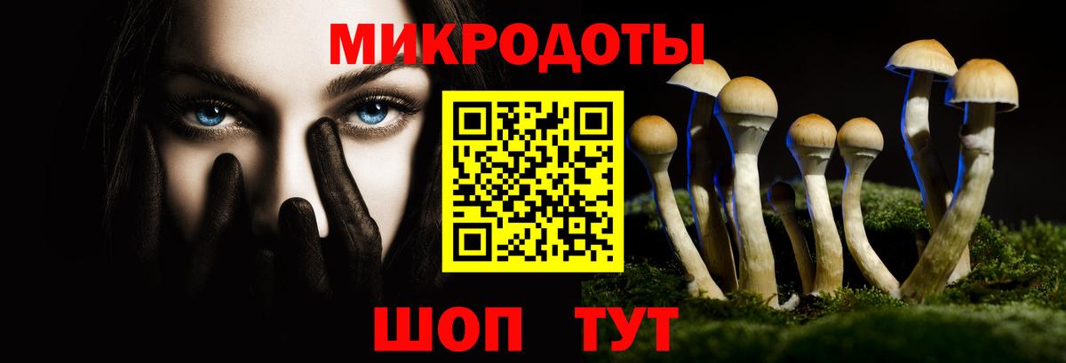 Волжск  Псилоцибиновые грибы мицелий  Вход с VPN 
